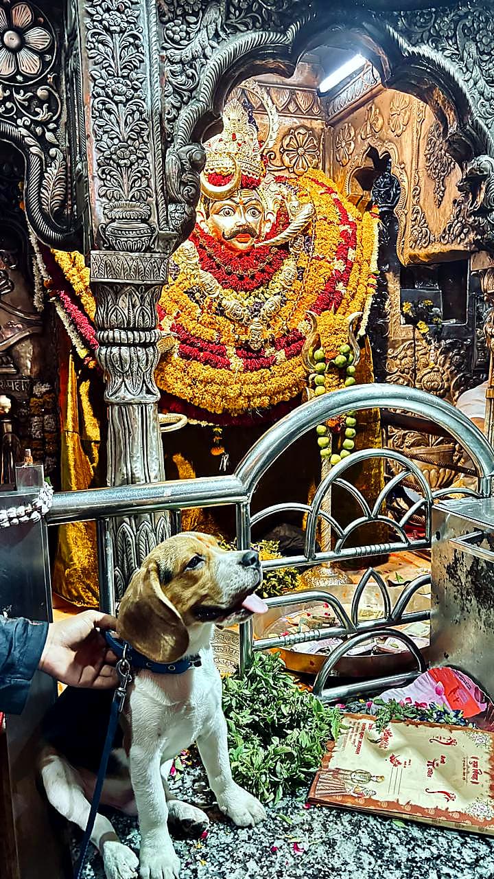 Temples — Shri Shriyantra Peetham Samiti